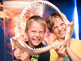 Das Foto zeigt zwei Schüler die einen Blick durch das Kiefer eines Tigerhais wagen. Vorsicht vor den messerscharfen Zähnen