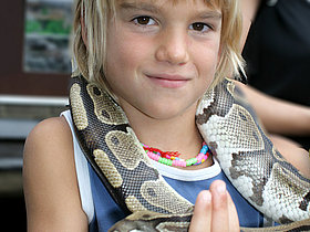 Das Foto zeigt einen unserer mutigen SchülerInnen beim Besuch im Reptilienzoo Happ. Dieser hat eine Schlange um den Hals gewickelt was sehr viel Mut verlangt