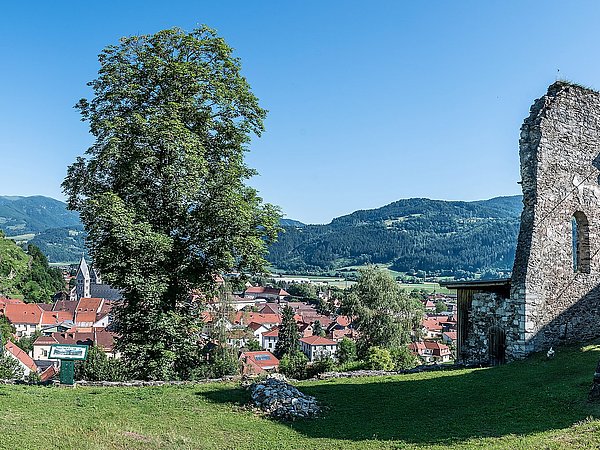 Das Foto zeigt die Burgenstadt Friesach fotografiert vom Virgilienberg. Rechts sieht man die Ruinen Kirche am Virgilienberg. Hinter dem Baum in der Mitte die 