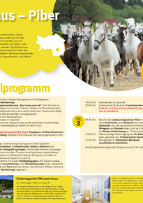 Das Foto zeigt das Detailprogramm vom 3 Tagesprogramm Graz-Moasterhaus mit allen Programmhighlights wie Graz-Rallye, Kindermuseum Frida & Fred, Zeughaus, Schlüsselmuseum, Schloss Eggenberg, Activityprogramm Moasterhaus mit Bogenschießen, Riesenroller fahren, Klettern, Walderlebnis mit Waldpädagogen, Lamawanderung, Lipizzanergestüt Piber und vielem mehr