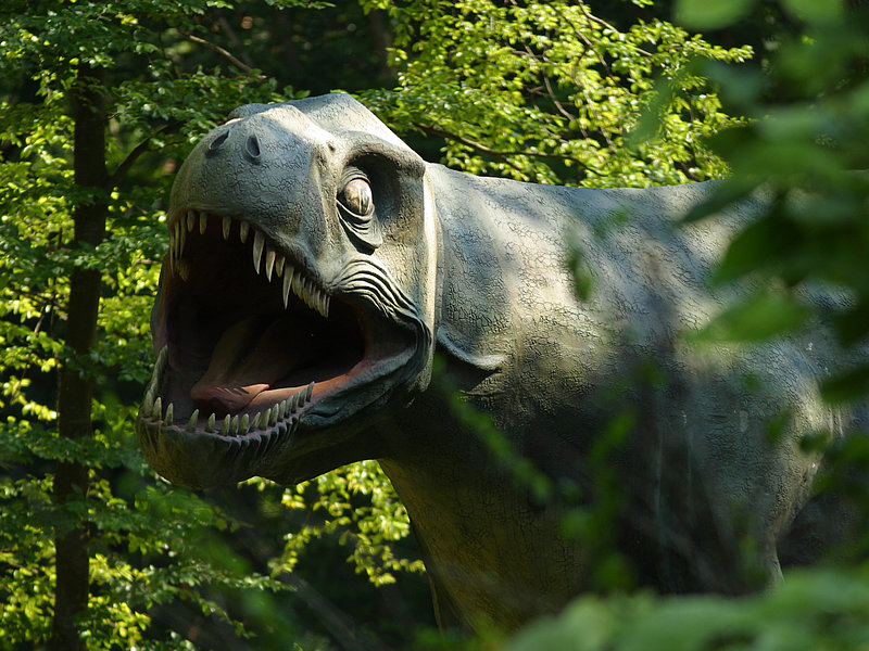 Natürlich gibt es im Styrassic Park in Bad Gleichenberg auch ein Modell eines lebensgroßen T-Rex. 