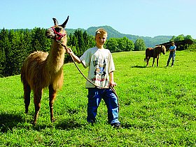 Das Foto zeigt einen unserer Schüler mit einem Lama während des Lama-Trekking. Im Hintergrund sieht man einen weiteren Schüler mit einem Pferd. 
